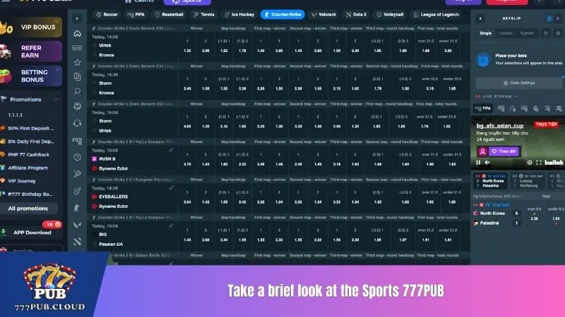Take a brief look at the Sports 777PUB