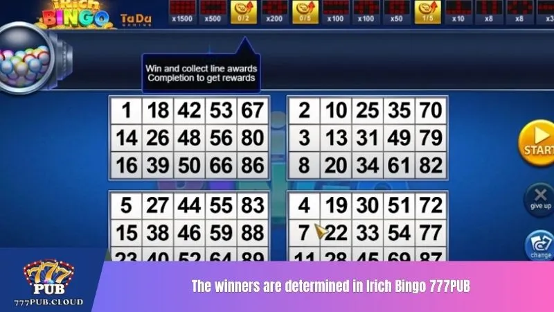 The winners are determined in Irich Bingo 777PUB