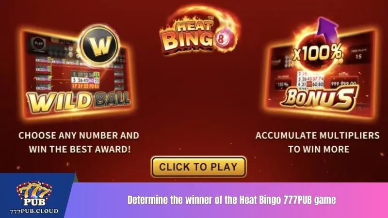Determine the winner of the Heat Bingo 777PUB game