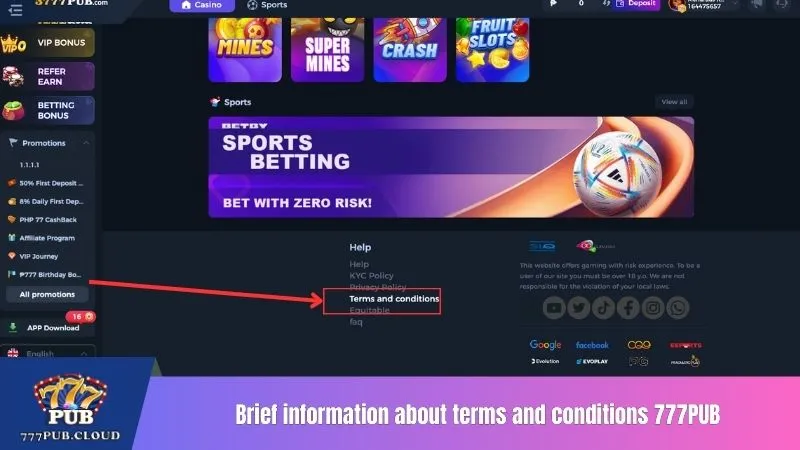 Brief information about terms and conditions 777PUB