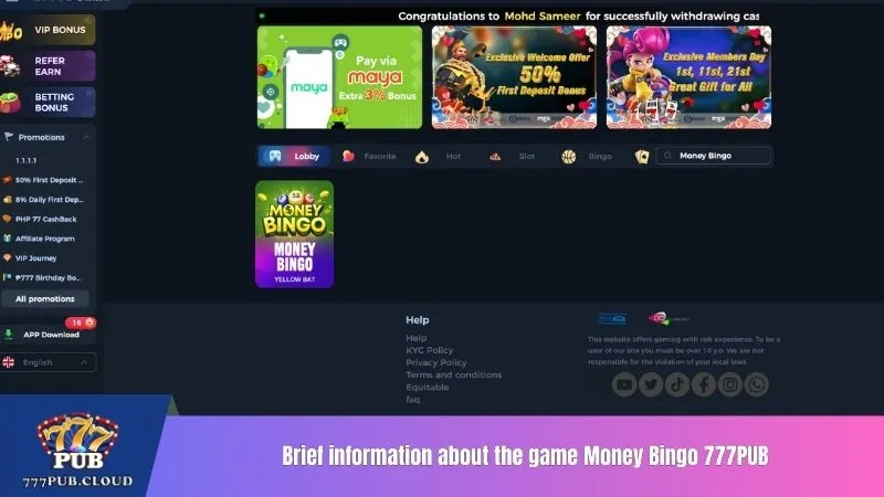 Brief information about the game Money Bingo 777PUB