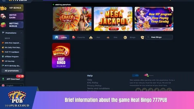 Brief information about the game Heat Bingo 777PUB