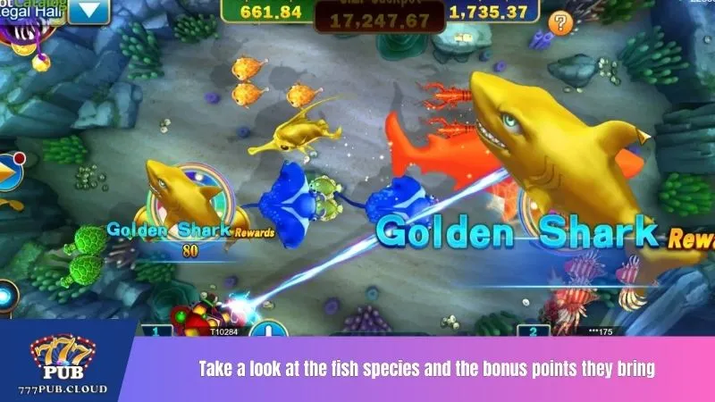 Take a look at the fish species and the bonus points they bring