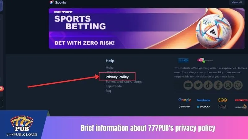 Brief information about 777PUB's privacy policy
