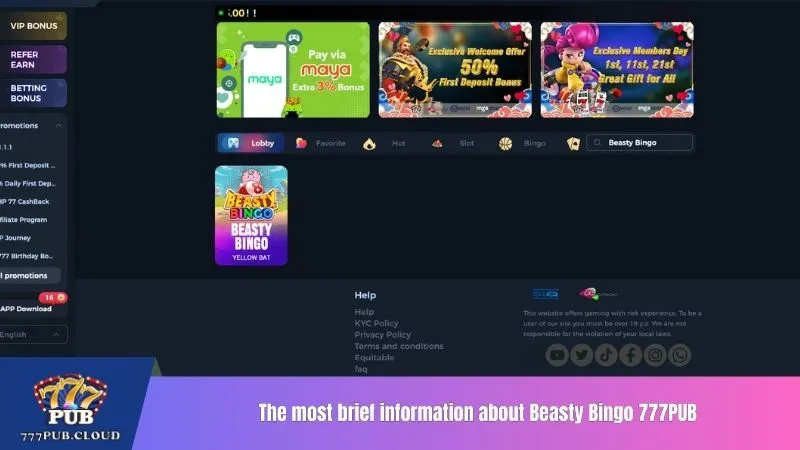 The most brief information about Beasty Bingo 777PUB