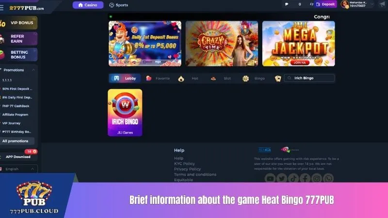 Brief information related to the game Irich Bingo 777PUB
